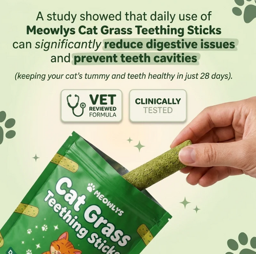 Cat Grass Digestion Sticks